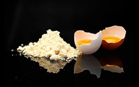 Egg Powder